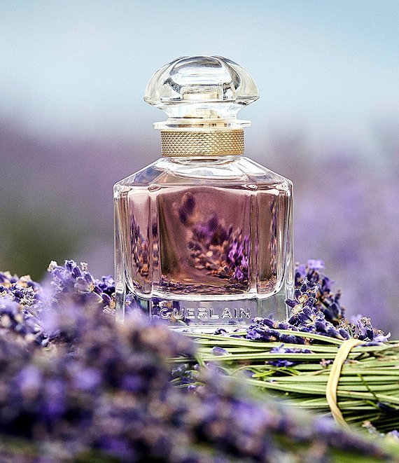 Guerlain Rêve d'Amour: A Limited Edition Bejewelled Eau de Parfum ~  Fragrance News